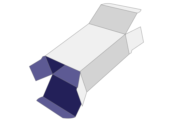 Reverse Tuck Box