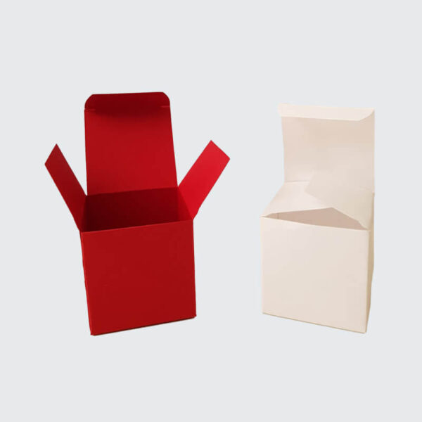 Custom Folding Boxes (3)